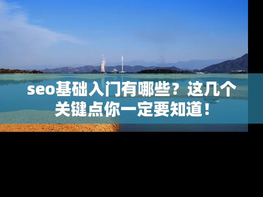 seo基础入门有哪些？这几个关键点你一定要知道！