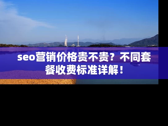 seo营销价格贵不贵？不同套餐收费标准详解！