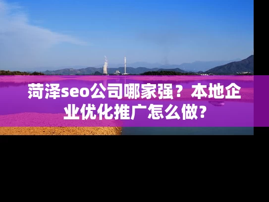 菏泽seo公司哪家强？本地企业优化推广怎么做？