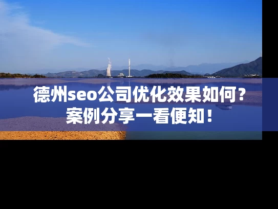 德州seo公司优化效果如何？案例分享一看便知！