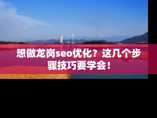 想做龙岗seo优化？这几个步骤技巧要学会！