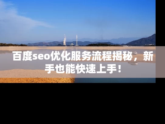 百度seo优化服务流程揭秘，新手也能快速上手！