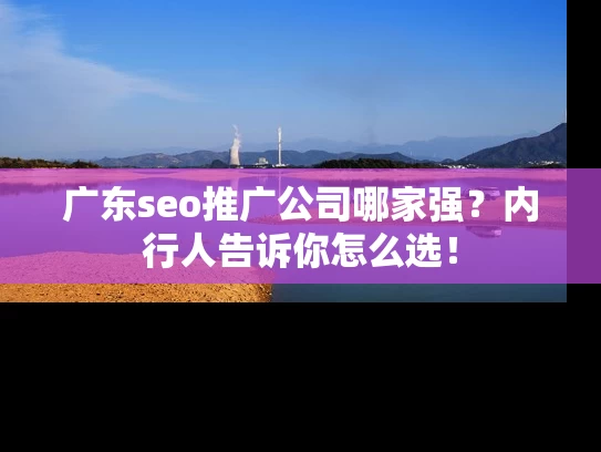 广东seo推广公司哪家强？内行人告诉你怎么选！