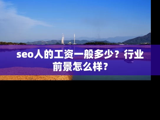 seo人的工资一般多少？行业前景怎么样？