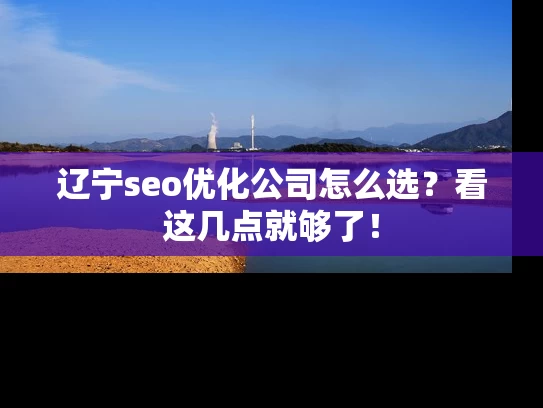 辽宁seo优化公司怎么选？看这几点就够了！