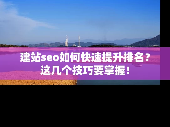 建站seo如何快速提升排名？这几个技巧要掌握！