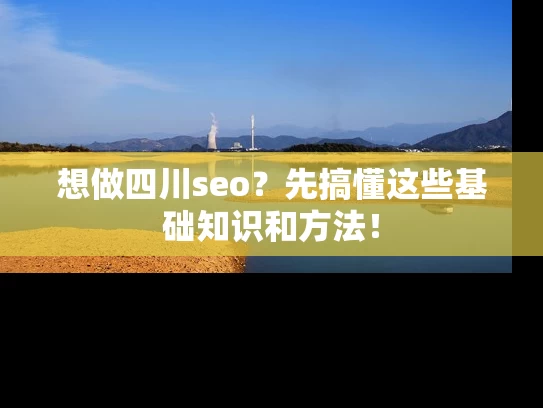 想做四川seo？先搞懂这些基础知识和方法！