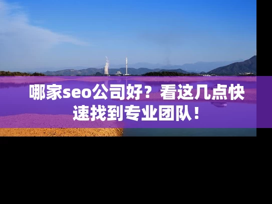 哪家seo公司好？看这几点快速找到专业团队！