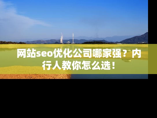 网站seo优化公司哪家强？内行人教你怎么选！