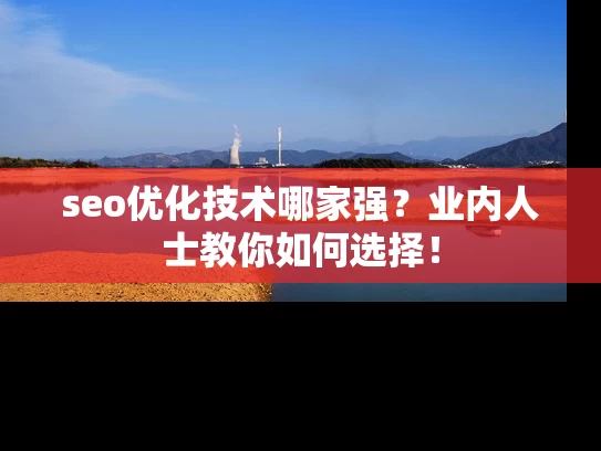 seo优化技术哪家强？业内人士教你如何选择！