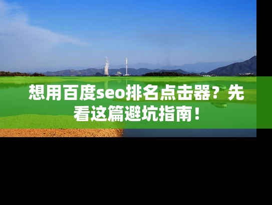 想用百度seo排名点击器？先看这篇避坑指南！