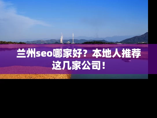 兰州seo哪家好？本地人推荐这几家公司！