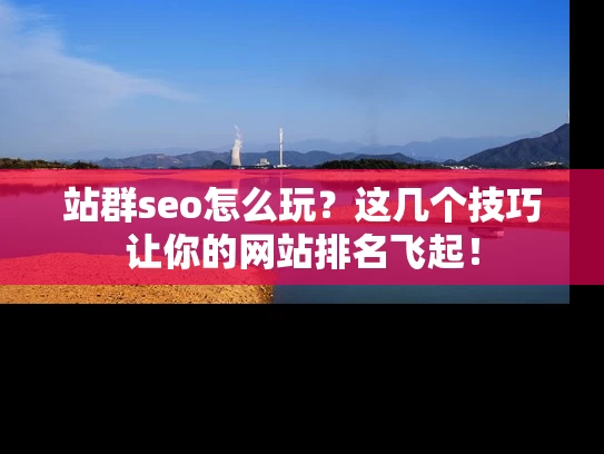 站群seo怎么玩？这几个技巧让你的网站排名飞起！