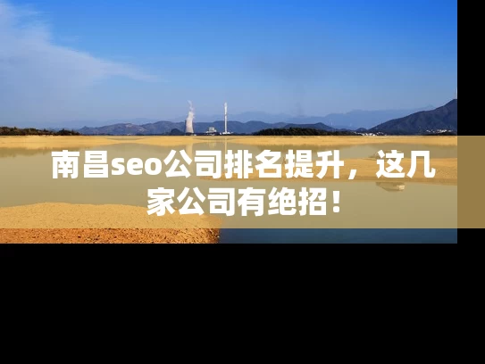 南昌seo公司排名提升，这几家公司有绝招！
