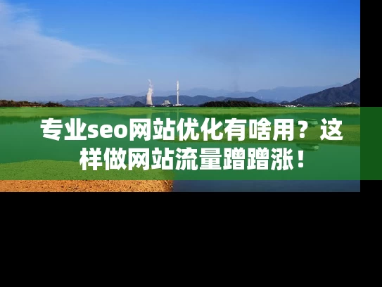 专业seo网站优化有啥用？这样做网站流量蹭蹭涨！
