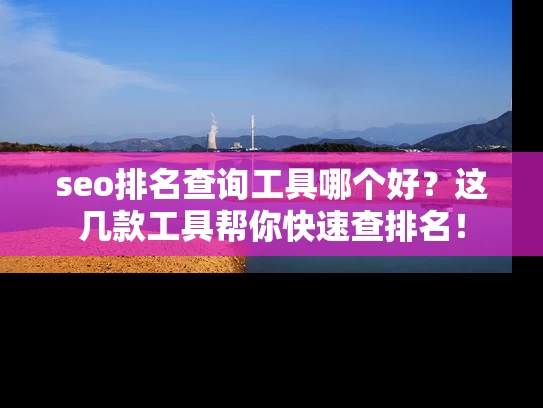 seo排名查询工具哪个好？这几款工具帮你快速查排名！