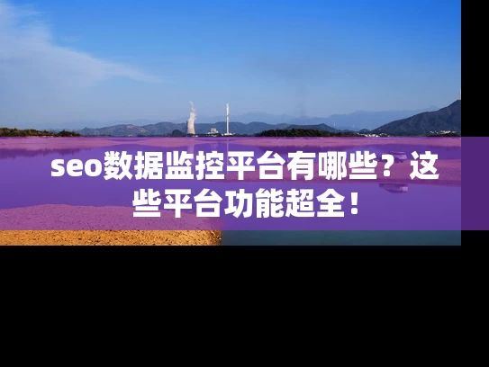 seo数据监控平台有哪些？这些平台功能超全！
