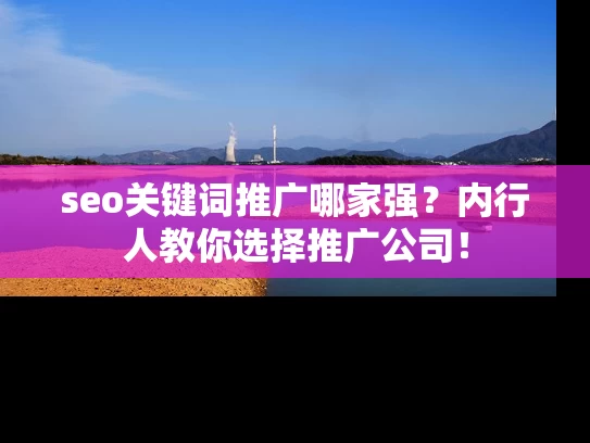 seo关键词推广哪家强？内行人教你选择推广公司！
