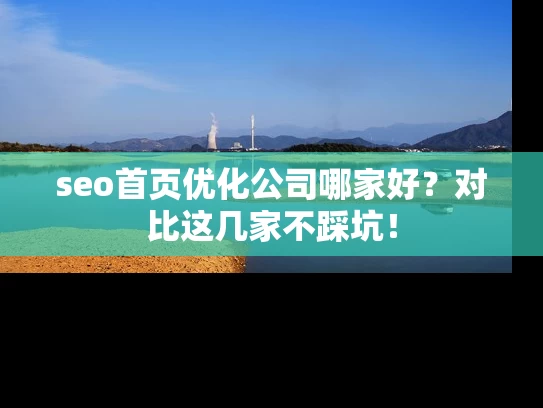 seo首页优化公司哪家好？对比这几家不踩坑！