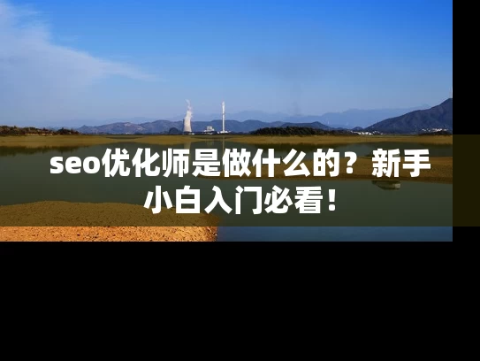 seo优化师是做什么的？新手小白入门必看！