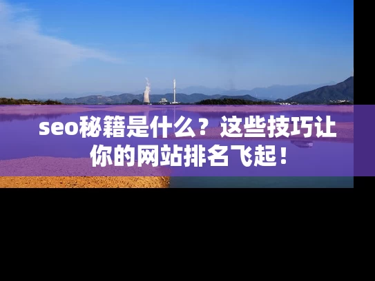 seo秘籍是什么？这些技巧让你的网站排名飞起！