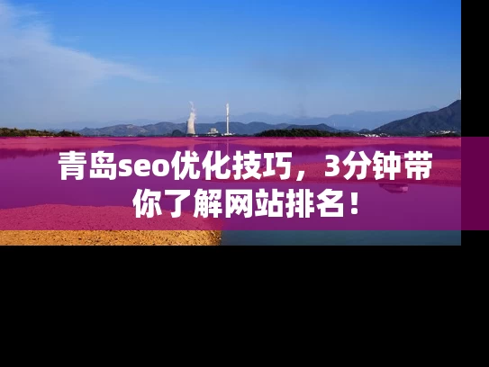 青岛seo优化技巧，3分钟带你了解网站排名！