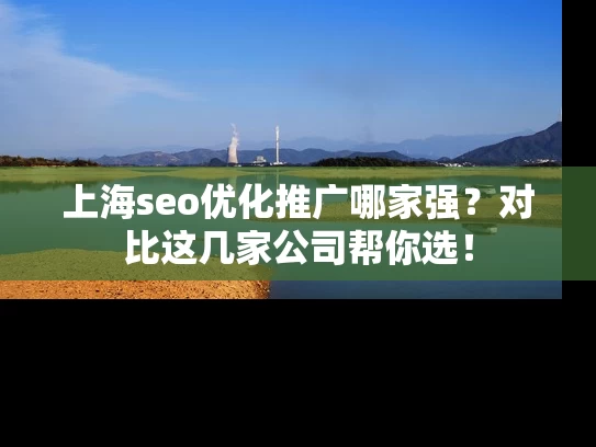 上海seo优化推广哪家强？对比这几家公司帮你选！