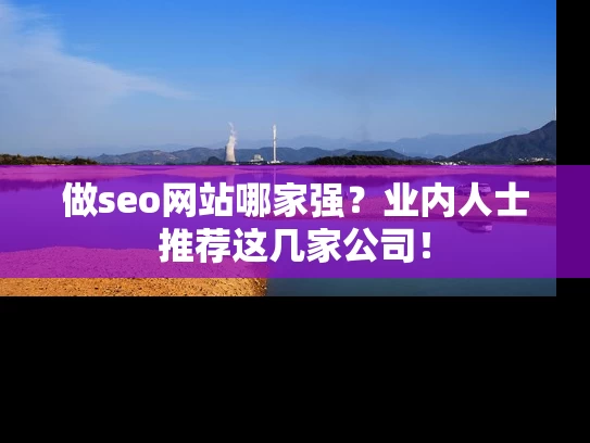 做seo网站哪家强？业内人士推荐这几家公司！