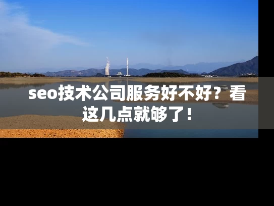seo技术公司服务好不好？看这几点就够了！