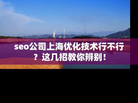 seo公司上海优化技术行不行？这几招教你辨别！