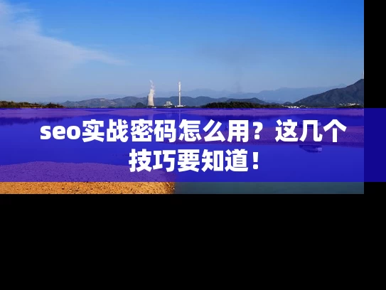 seo实战密码怎么用？这几个技巧要知道！