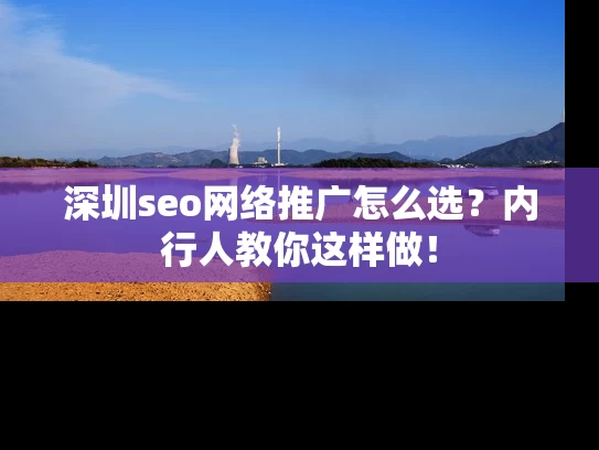 深圳seo网络推广怎么选？内行人教你这样做！