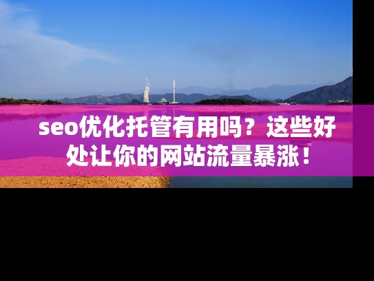 seo优化托管有用吗？这些好处让你的网站流量暴涨！