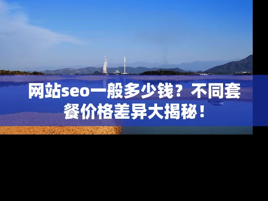 网站seo一般多少钱？不同套餐价格差异大揭秘！