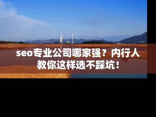 seo专业公司哪家强？内行人教你这样选不踩坑！