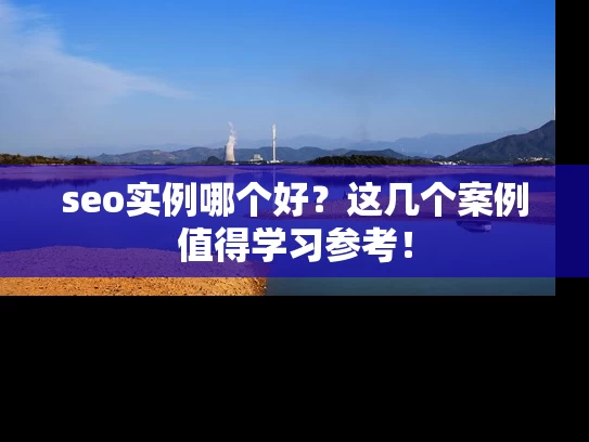 seo实例哪个好？这几个案例值得学习参考！