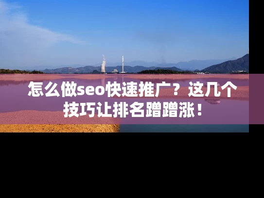 怎么做seo快速推广？这几个技巧让排名蹭蹭涨！