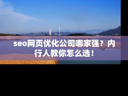 seo网页优化公司哪家强？内行人教你怎么选！
