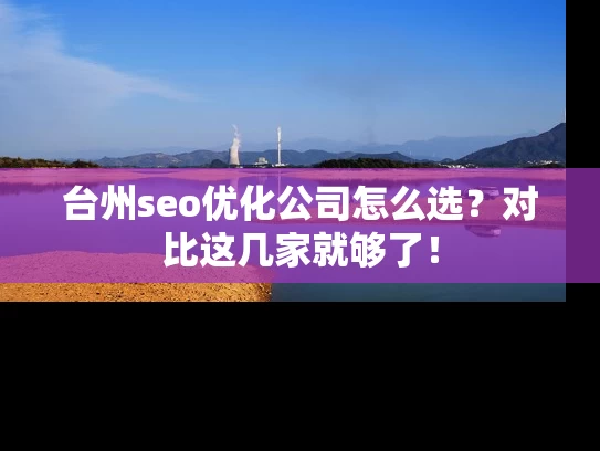 台州seo优化公司怎么选？对比这几家就够了！