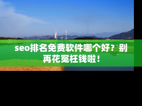 seo排名免费软件哪个好？别再花冤枉钱啦！