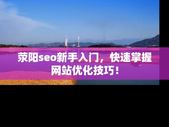 荥阳seo新手入门，快速掌握网站优化技巧！