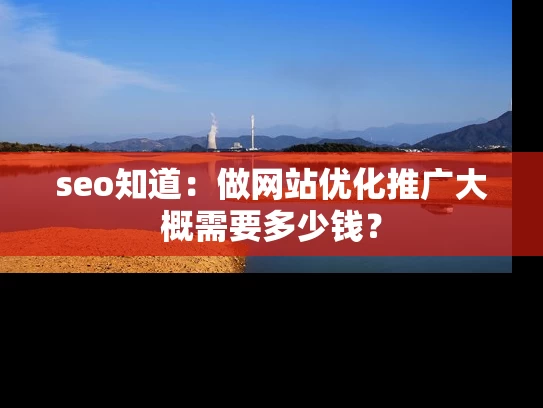 seo知道：做网站优化推广大概需要多少钱？
