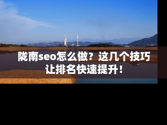 陇南seo怎么做？这几个技巧让排名快速提升！