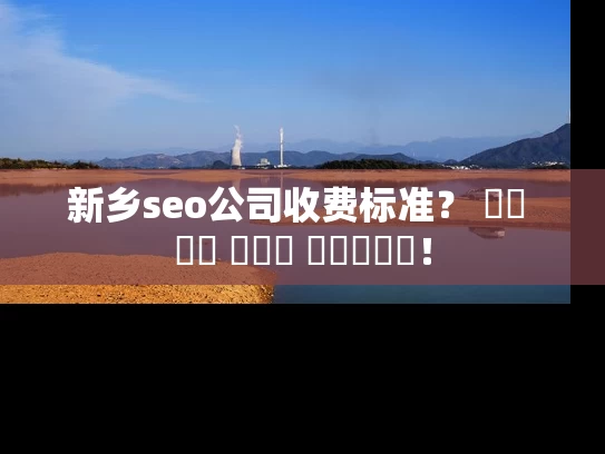 新乡seo公司收费标准？ 가격 대비 성능을 비교하세요！