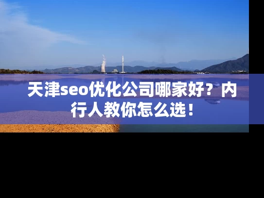 天津seo优化公司哪家好？内行人教你怎么选！