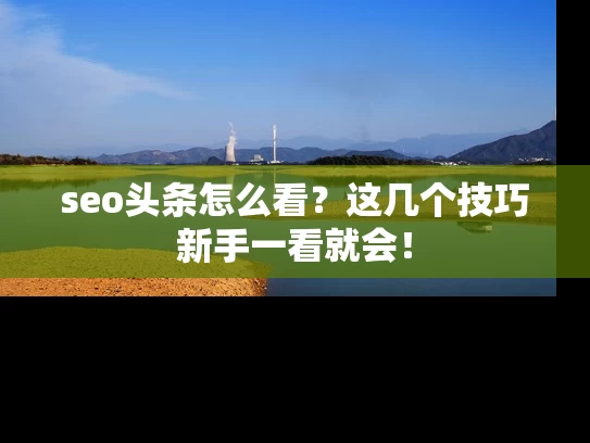 seo头条怎么看？这几个技巧新手一看就会！