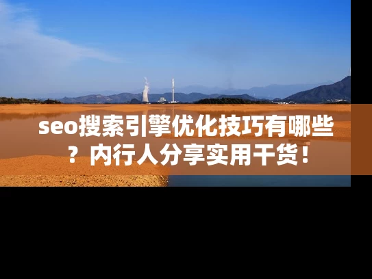 seo搜索引擎优化技巧有哪些？内行人分享实用干货！