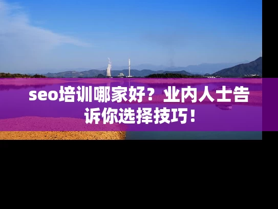 seo培训哪家好？业内人士告诉你选择技巧！