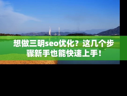 想做三明seo优化？这几个步骤新手也能快速上手！