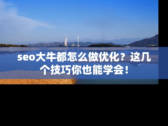 seo大牛都怎么做优化？这几个技巧你也能学会！